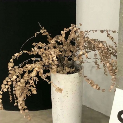 Furry绘画原创灵感兽圈社群